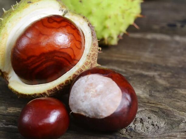 Calul Kashtan